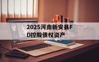 2025河南新安县FD控股债权资产