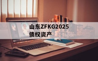 山东ZFKG2025债权资产
