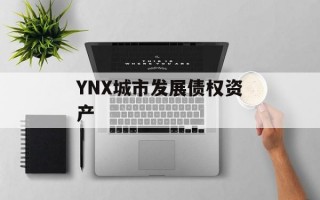 YNX城市发展债权资产