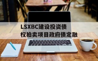 LSXBC建设投资债权拍卖项目政府债定融