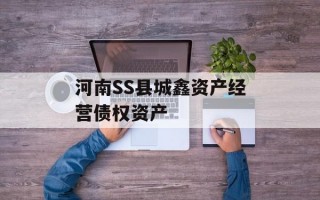 河南SS县城鑫资产经营债权资产