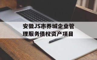 安徽JS市养城企业管理服务债权资产项目