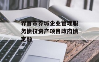 界首市养城企业管理服务债权资产项目政府债定融