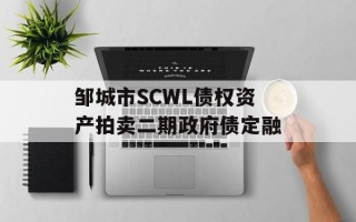 邹城市SCWL债权资产拍卖二期政府债定融