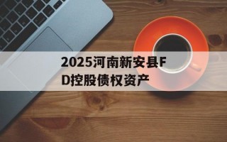 2025河南新安县FD控股债权资产
