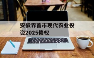 安徽界首市现代农业投资2025债权