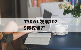 TYXWL发展2025债权资产