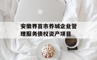 安徽界首市养城企业管理服务债权资产项目