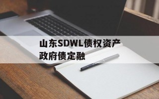 山东SDWL债权资产政府债定融