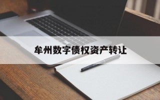 牟州数字债权资产转让