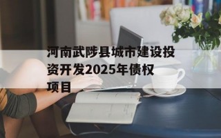 河南武陟县城市建设投资开发2025年债权项目