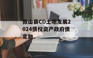 微山县CD土地发展2024债权资产政府债定融