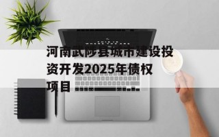 河南武陟县城市建设投资开发2025年债权项目