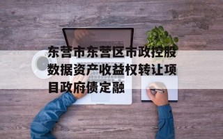 东营市东营区市政控股数据资产收益权转让项目政府债定融