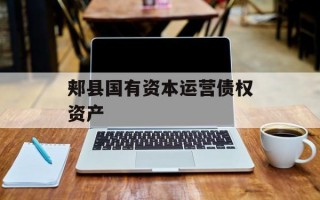 郏县国有资本运营债权资产
