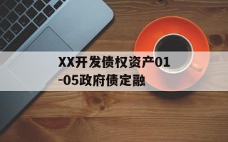 XX开发债权资产01-05政府债定融