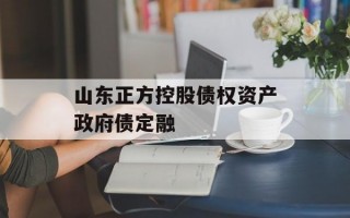 山东正方控股债权资产政府债定融