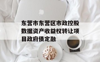 东营市东营区市政控股数据资产收益权转让项目政府债定融