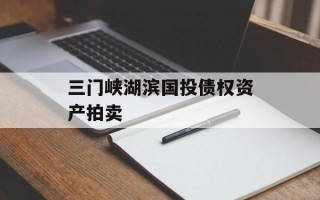 三门峡湖滨国投债权资产拍卖