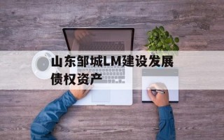 山东邹城LM建设发展债权资产