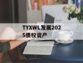 TYXWL发展2025债权资产