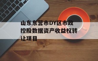山东东营市DY区市政控股数据资产收益权转让项目