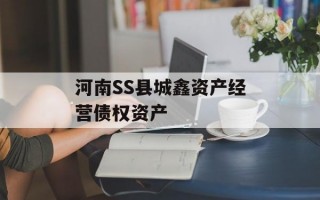 河南SS县城鑫资产经营债权资产