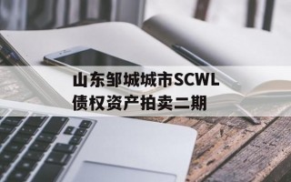 山东邹城城市SCWL债权资产拍卖二期