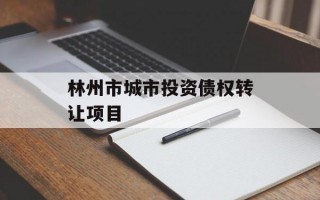 林州市城市投资债权转让项目