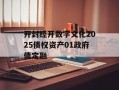 开封经开数字文化2025债权资产01政府债定融