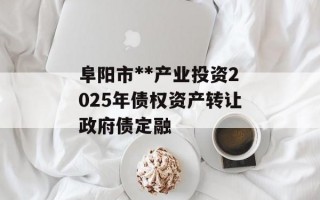 阜阳市**产业投资2025年债权资产转让政府债定融