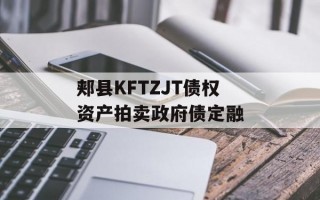 郏县KFTZJT债权资产拍卖政府债定融