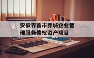 安徽界首市养城企业管理服务债权资产项目
