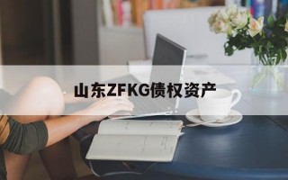 山东ZFKG债权资产