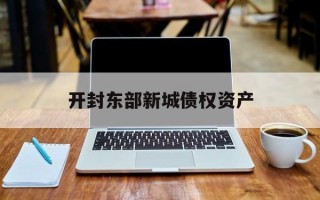开封东部新城债权资产