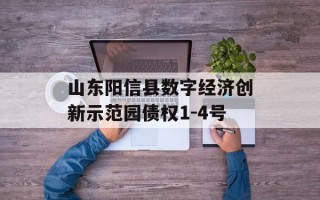 山东阳信县数字经济创新示范园债权1-4号
