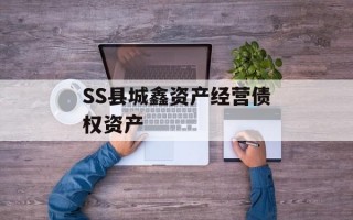 SS县城鑫资产经营债权资产