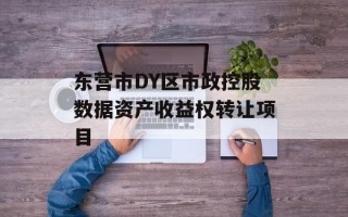 东营市DY区市政控股数据资产收益权转让项目