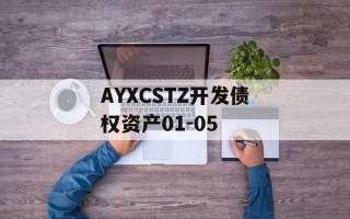 AYXCSTZ开发债权资产01-05