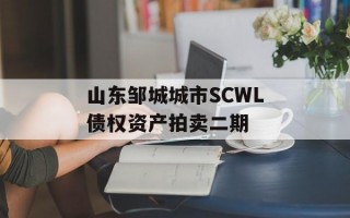 山东邹城城市SCWL债权资产拍卖二期