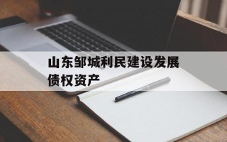 山东邹城利民建设发展债权资产
