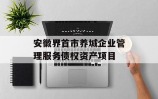 安徽界首市养城企业管理服务债权资产项目