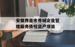 安徽界首市养城企业管理服务债权资产项目