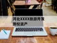 河北XXXX旅游开发债权资产