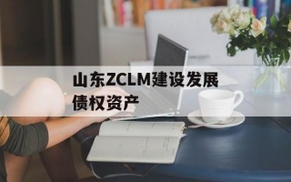 山东ZCLM建设发展债权资产