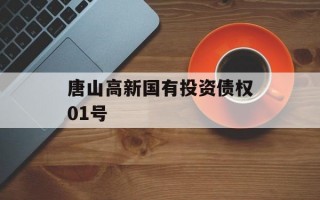 唐山高新国有投资债权01号