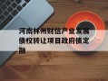 河南林州财信产业发展债权转让项目政府债定融
