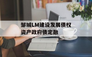 邹城LM建设发展债权资产政府债定融