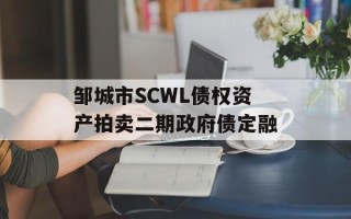 邹城市SCWL债权资产拍卖二期政府债定融