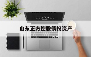 山东正方控股债权资产